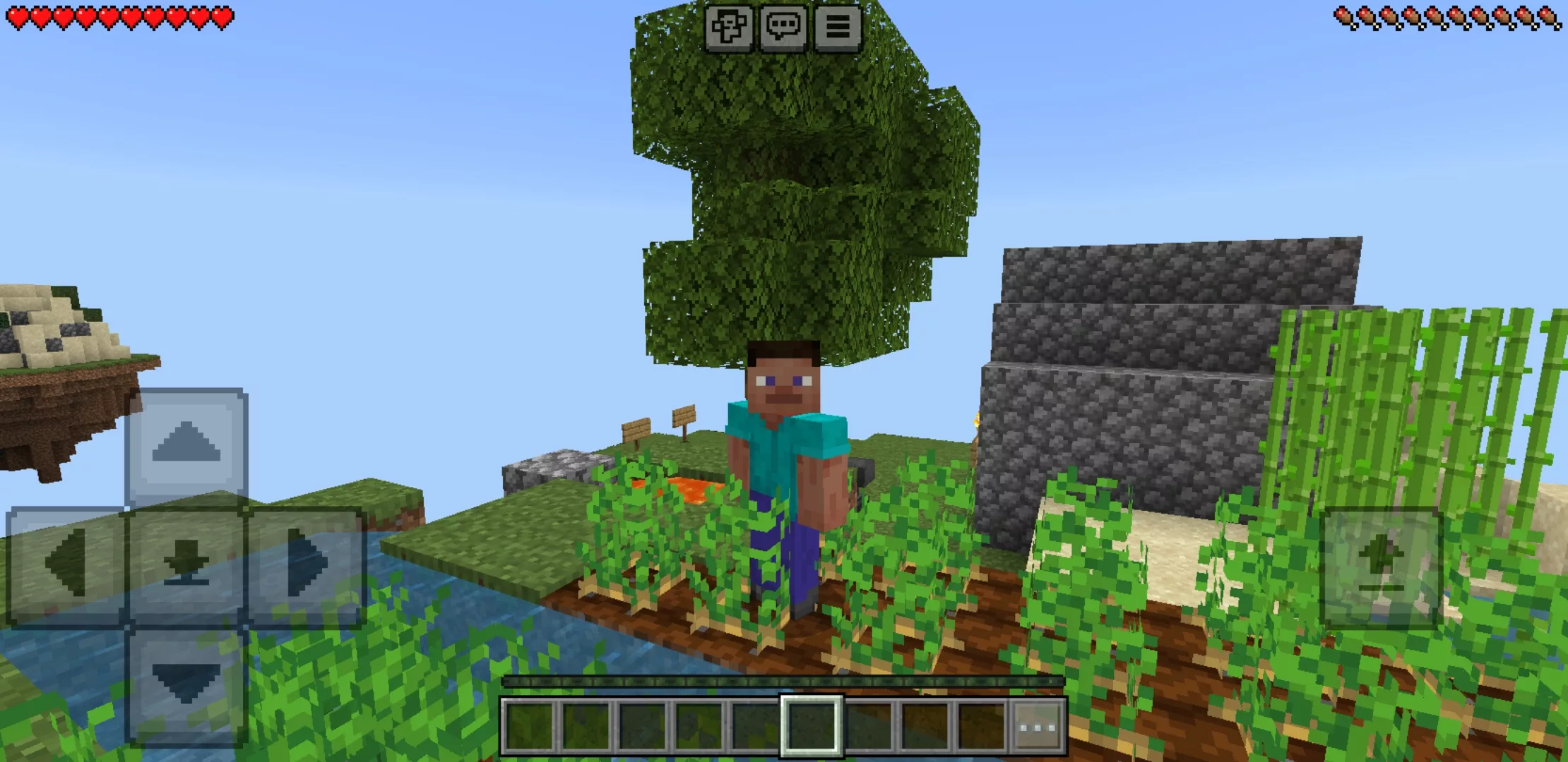 Location from One Block Map for Minecraft PE