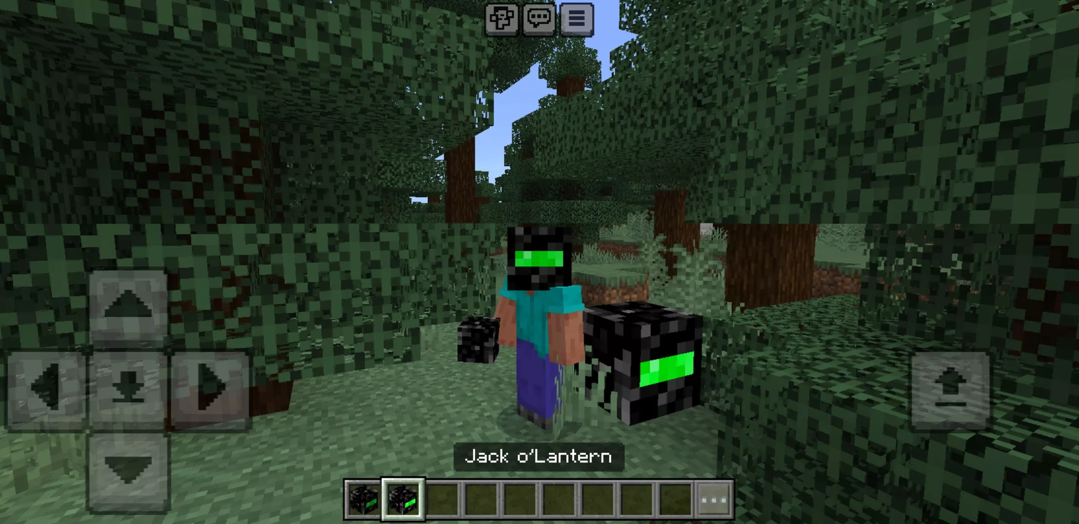 Night Vision Texture Pack for Minecraft PE
