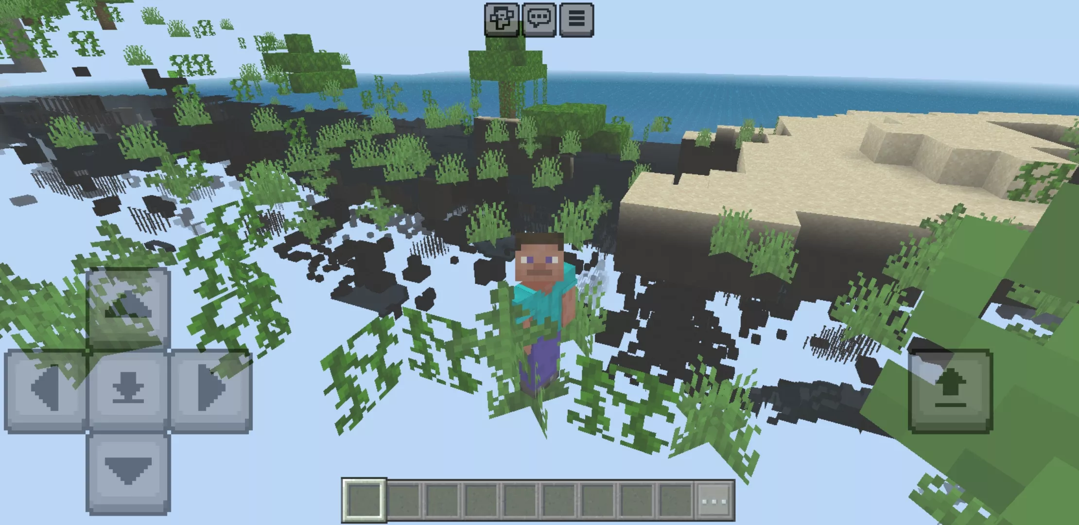Use It from X-Ray Texture Pack for Minecraft PE