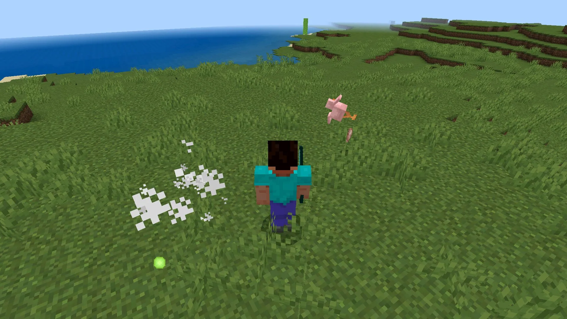 Chicken from cheat killaura from Minecraft PE 1.21