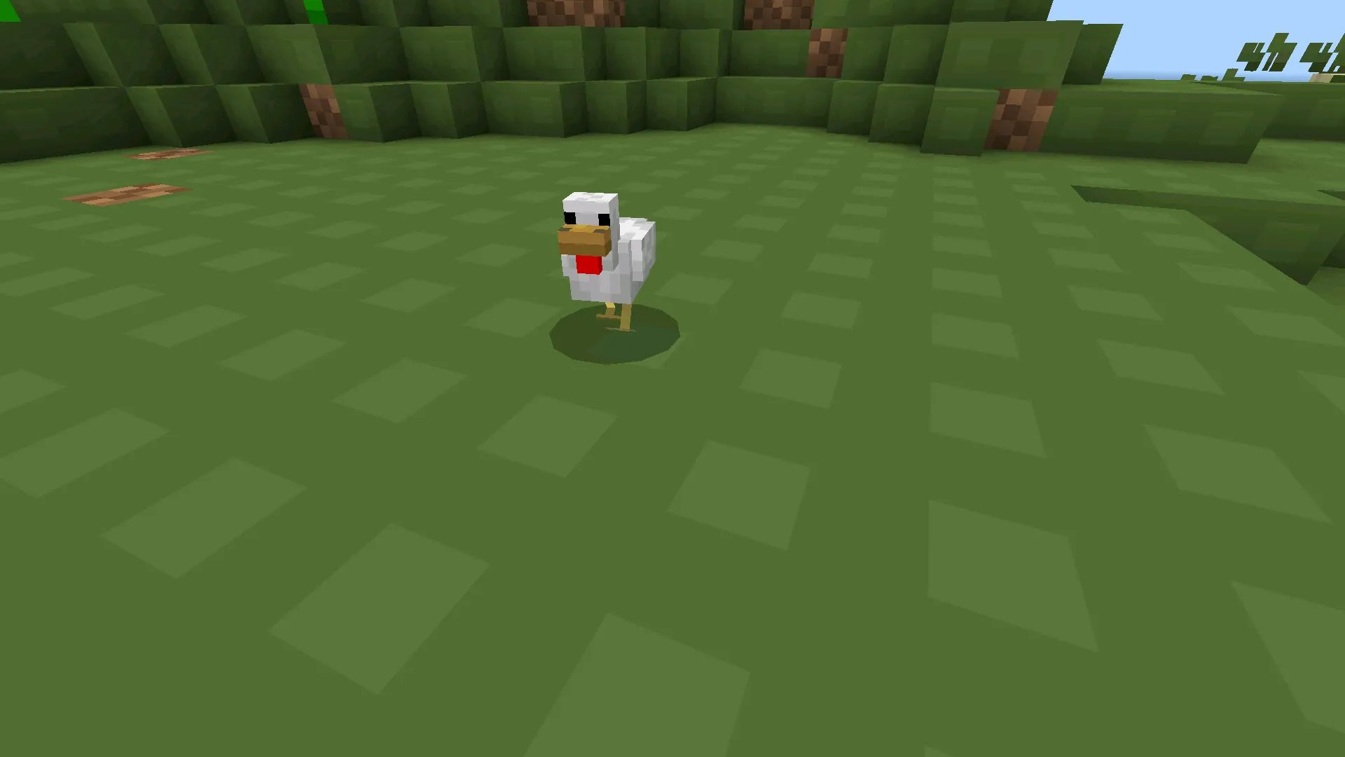 Grass from client fps from Minecraft PE 1.21