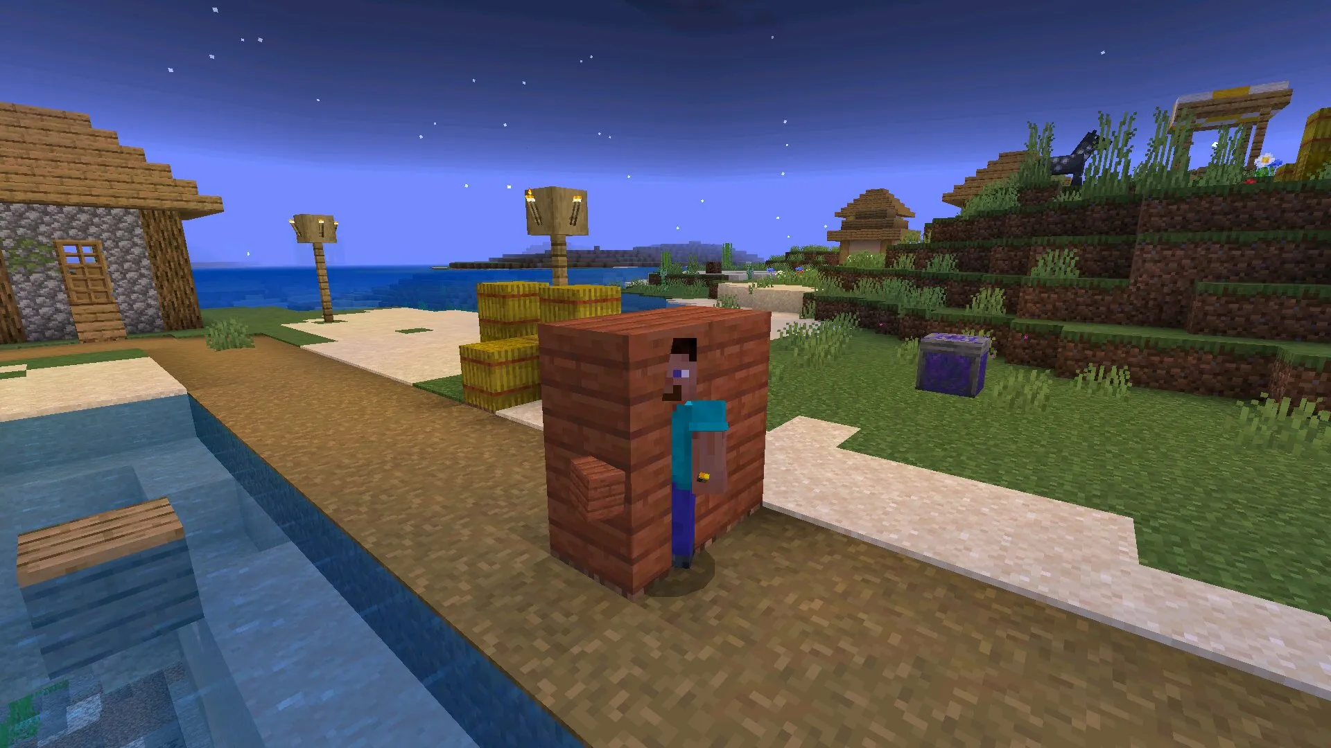In the wall from cheat blocks from Minecraft PE 1.21