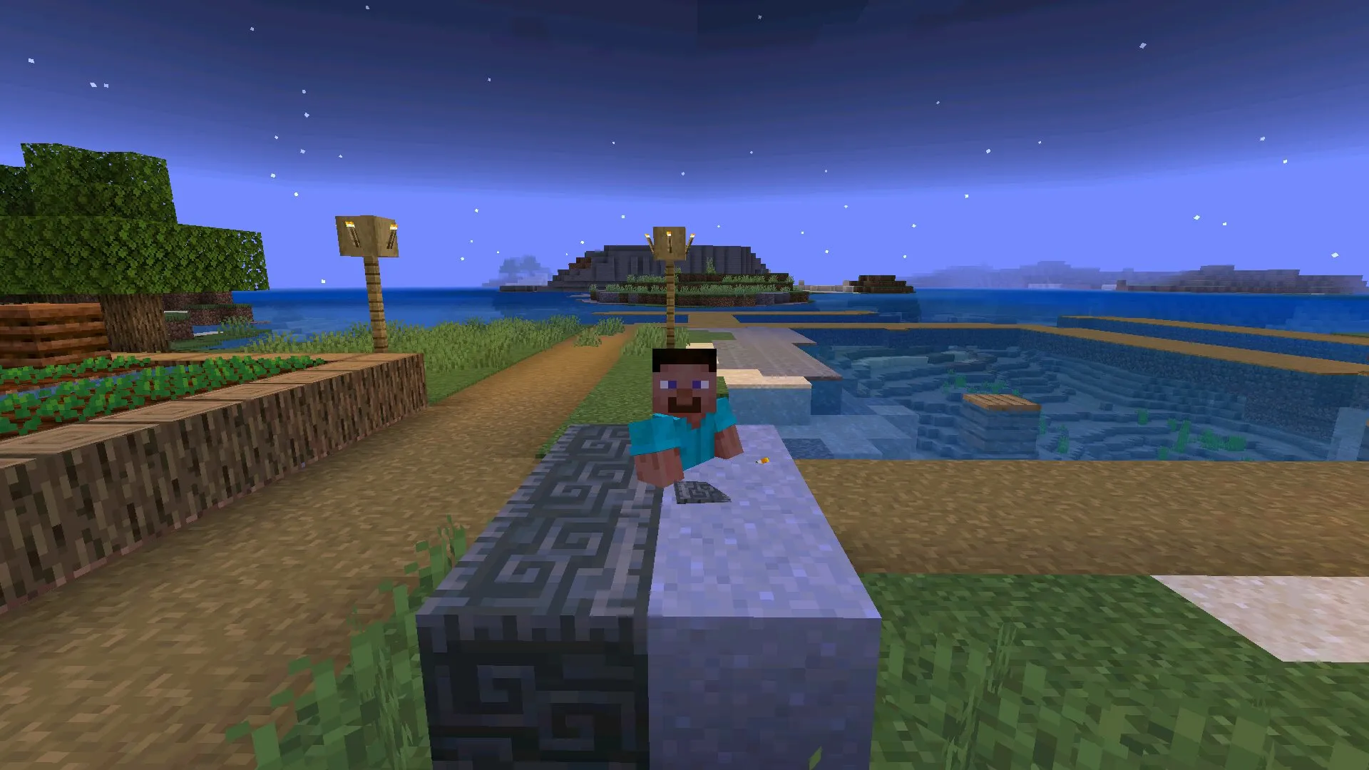 Inside from cheat blocks from Minecraft PE 1.21